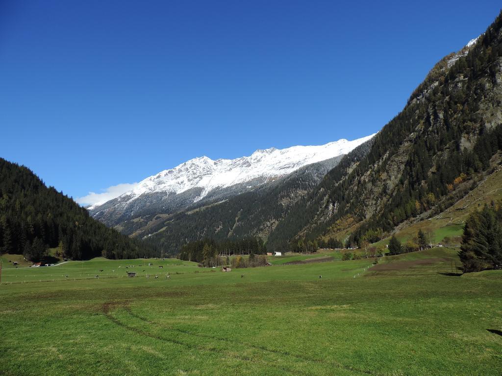 Aparthotel Haus Renate Kaunertal Zimmer foto